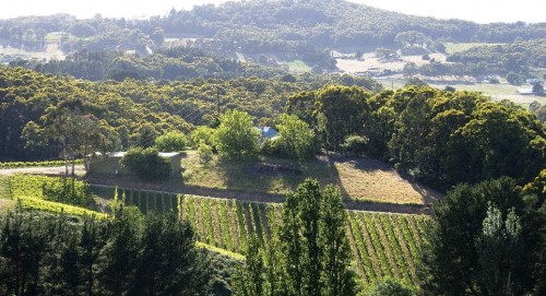 Adelaide Hills