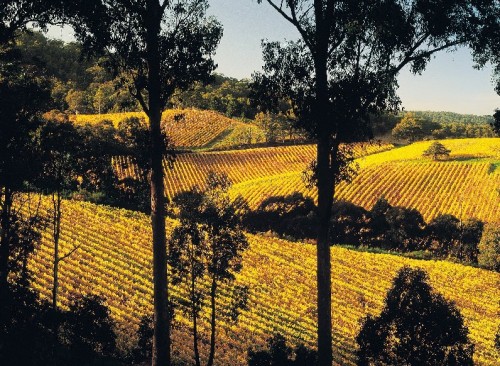 Autumn in the Adelaide Hills